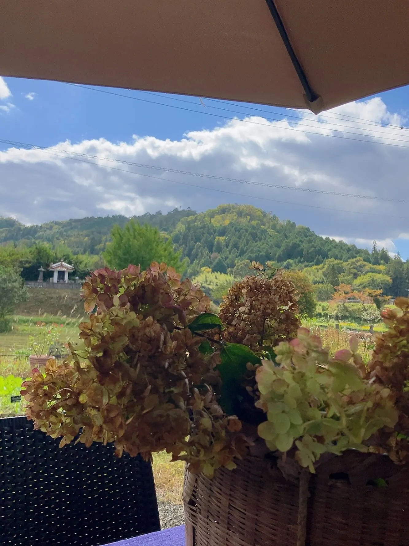 秋晴れのパラソルの下