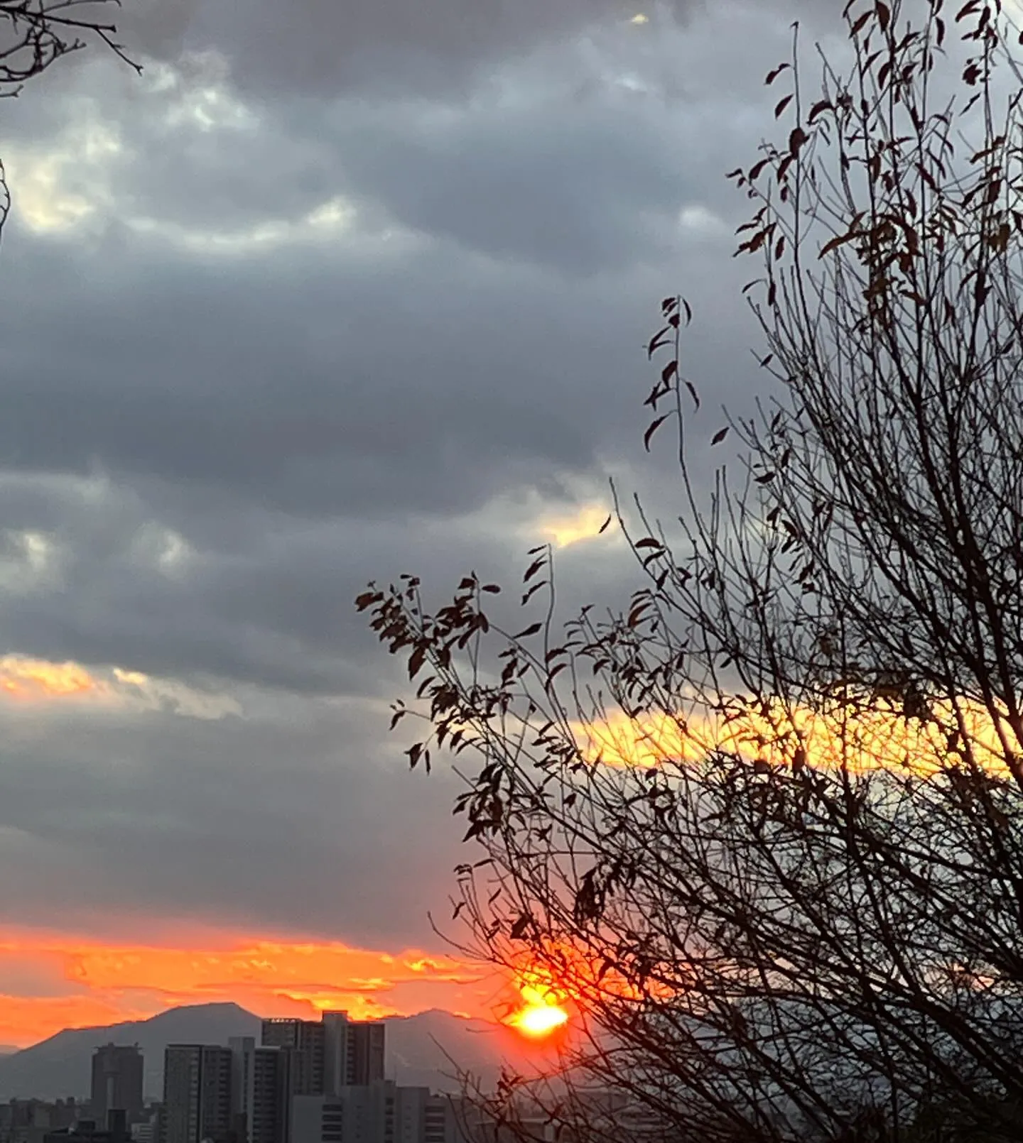 遅ればせながら明けましておめでとうございます