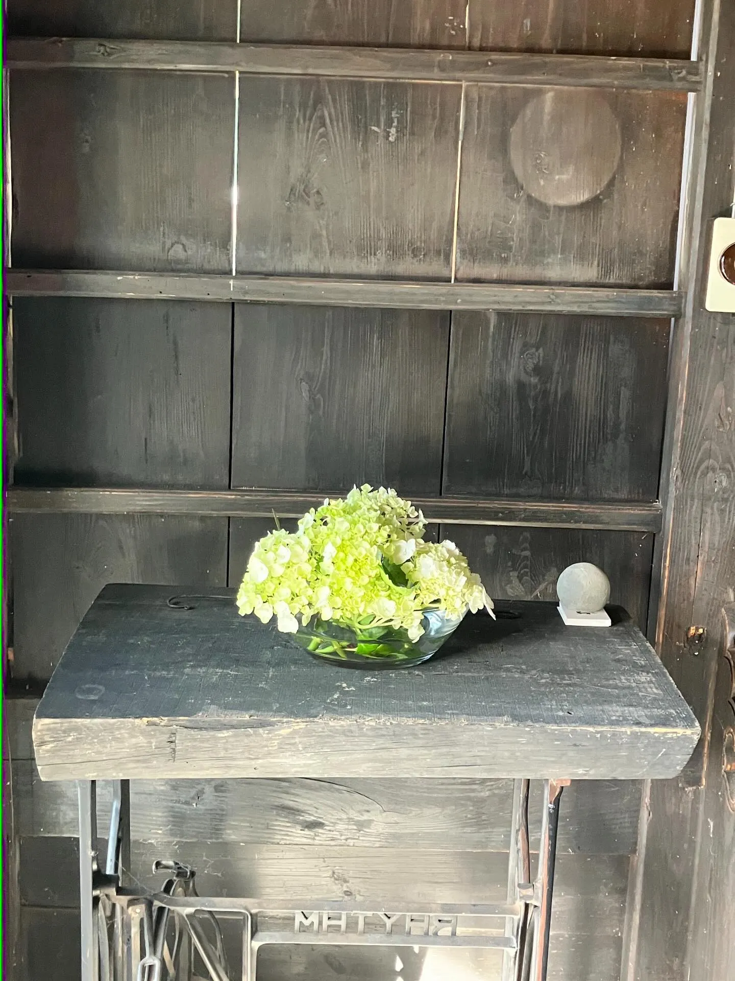 宙と廷の花たち