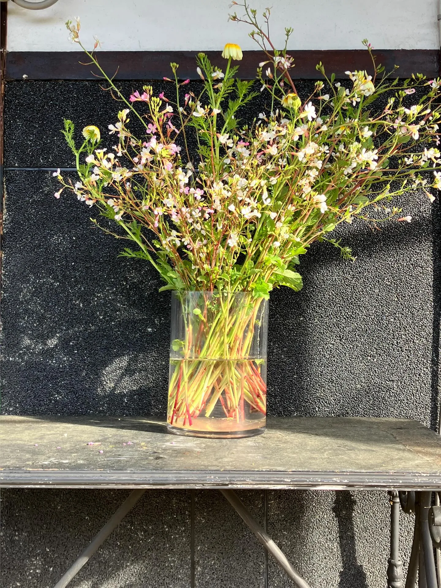 宙と廷の花たち