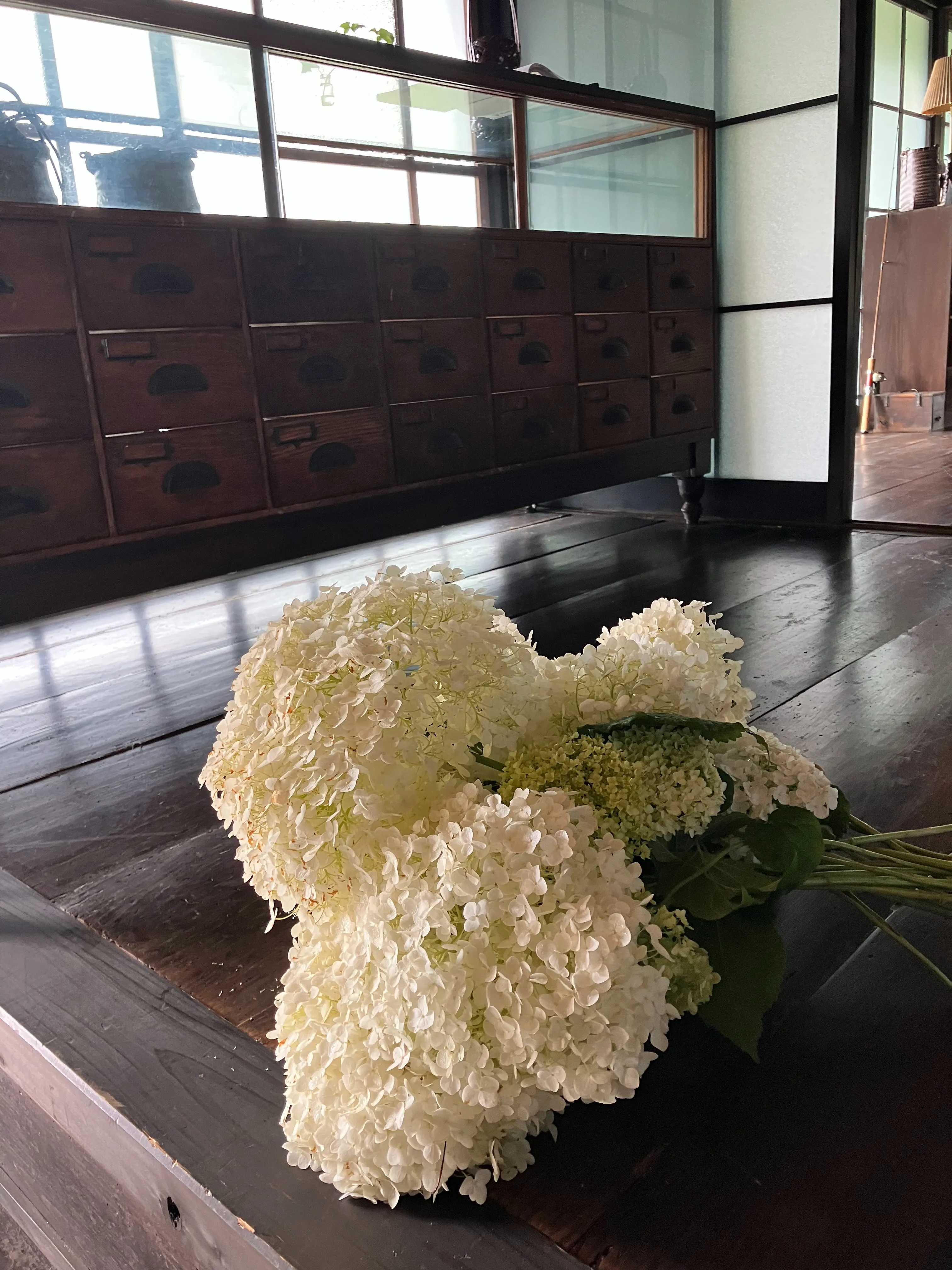一生愛す「籠たち」展と